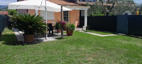 Sarzana House | Casa vacanze Gli Ulivi