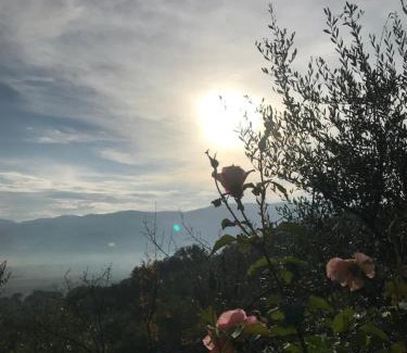 Montefalco House | Casa Vacanze Vecciano