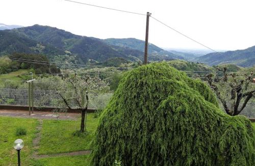 Villabuona House | Casa Zita dei fiori
