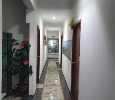 Manga House | CASA ZOÉ