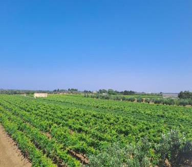 Nardo Apartment | CasaAmena