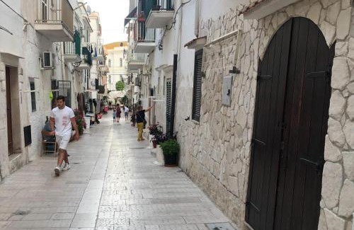 Vieste Apartment | CASABELLA