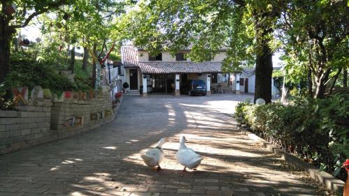 Bettolelle Apartment | Casale Civetta - Appartamenti con piscina