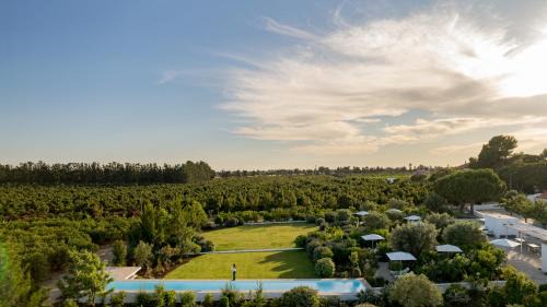 Quinta da Ria House | Casas da Quinta de Cima