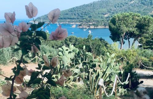 Naregno House | Case dei limoni sul mare