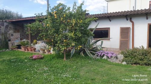 Zona LI La Storta House | Casetta delle fiabe