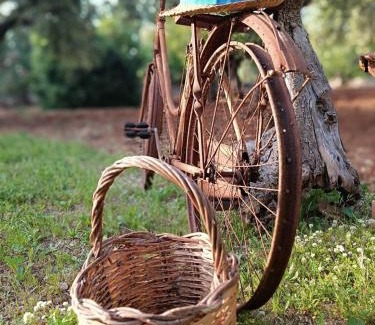 Locorotondo House | Casetta Girasole