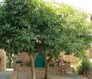 Casenuove Apartment | Casetta Nonna Augusta (Spello 9 km-Assisi 12 km)