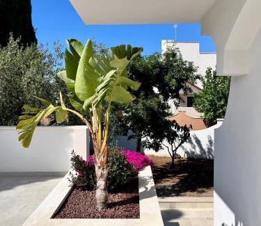 Municipio 5 House | Casita