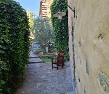 Carcheto-Brustico House | Castellu d'Orezza