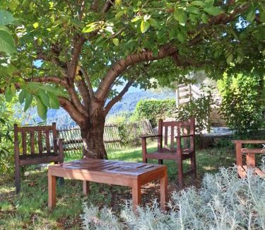 Carcheto-Brustico House | Castellu d'Orezza