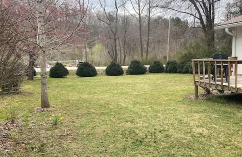 Sylva Cottage | Catch N Relax- River Access, Large Yard, Fiber Wifi, Fire Pit & Late Checkout!
