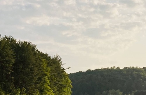 Sabinsville Cabin | Cathead Cabin—Cozy Cabin in the Woods of Tioga County, PA