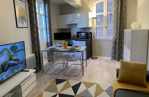 Albi Apartment | Cathedral Aparthotel historic center cathedral view