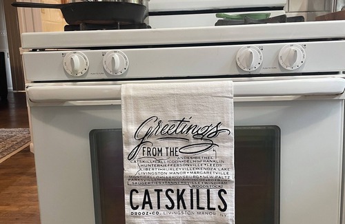 Livingston Manor House | Catskills Chalet - 5 acres Full Kitchen Fire Pit Office Pets OK BBQ WiFi