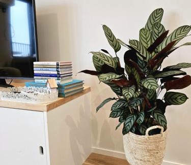 Sint-Idesbald Apartment | Causy Rooftop Apartment St. Idesbald