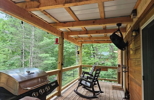 Franklin Cabin | Cedar Bear Cabin - Cozy Mountain View Couples Retreat - Paved Drive & Starlink!