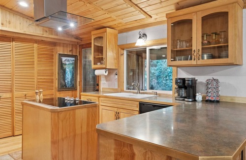 Ashford Cabin | Cedar Cabin at Rainier Entrance w/Hot Tub and Cinema