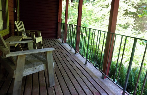 Ashford Cabin | Cedar Cabin just 0.4 mi from Mt. Rainier entrance