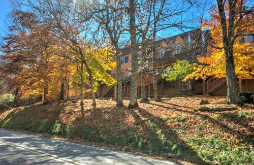 Beech Mountain Apartment | Cedar Village Condominiums