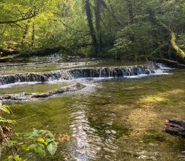 Darcey House | Cense des Possibles - chambre Forêt 2 personnes