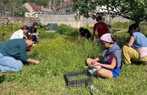 Darcey House | Cense des Possibles - chambre Forêt 4 personnes