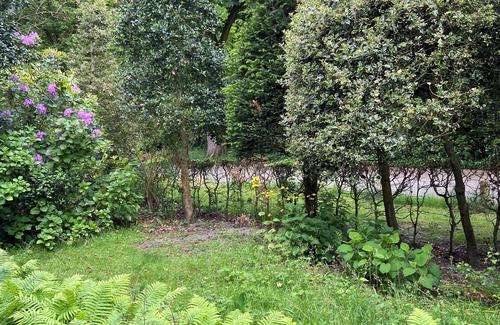 Bergen Villa | Centraal Gelegen Grote Villa op echt prachtige Locatie bij bos en en Centrum