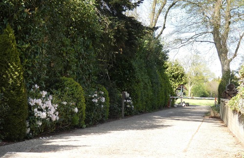 Marum Ski Chalet | Centraal gelegen op grens Friesland/Groningen/Drenthe aan het bos gelegen.p-slk