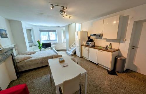Etterbeek Apartment | Central and convenient studio near supermarkets and public transports