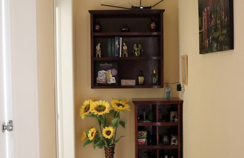Tehuacan Apartment | Central apartment, all services