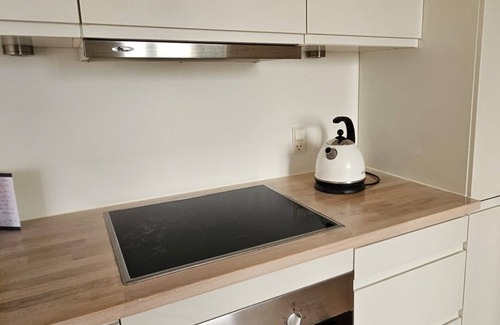 Øgadekvarteret Apartment | Central apartment with panoramic view and roof terrace