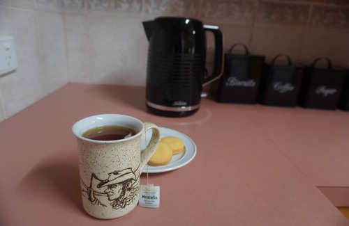 Ararat House | Central California Bungalow combines old charm with modern comforts