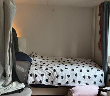 Haga House | Central cozy accommodation, single room or bed in dormroom