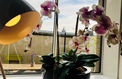 Central Aberdeen Apartment | Central & Modern - Private Terrace - Dog Friendly
