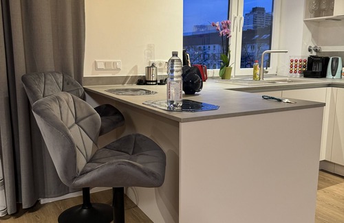 Ludwigshafen Apartment | Central Suite, 2 Bed Rooms, fully equipped kitchen, Living Room, Netflix, Balkon