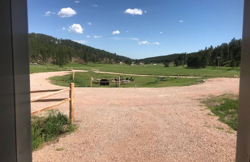 Rapid City Cabin | Centrally Located near everything the Black Hills has to offer!