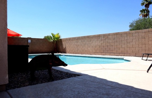 Surprise House | Centrally Located Oasis. Enjoy Golf, Shopping, football & Spring Training