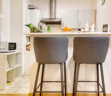 Saverne Apartment | Centre ville au calme , Parking privé intérieur CAR et BIKE