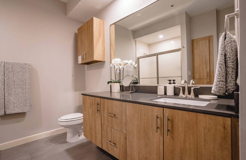 McAllen Apartment | Centric 2 bed 2 bath in McAllen