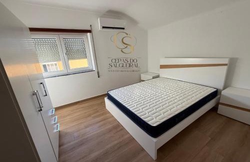 Tondela Apartment | Cepas do Salgueiral - Guest House - Apartamento Centro de Tondela