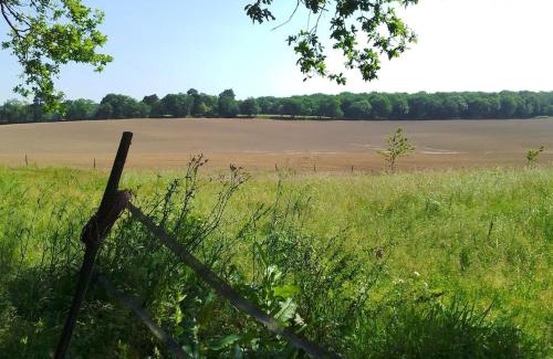 Vergoignan Ski Chalet | Châlet en Gascogne