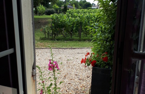 Petit-Palais-et-Cornemps House | Château Vieux Mougnac - Holiday house near Saint-Emilion Bordeaux Vinexpo