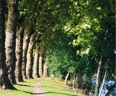Saint-Avertin House | Châteaux de la Loire - Près de Tours - Cottage EAU CALME en Bord de Lac