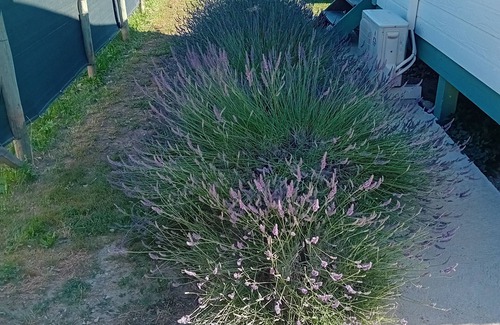 Salon-de-Provence Ski Chalet | Chalet 1 independent at the foot of the Alpilles