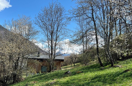 La Perriere Ski Chalet | Chalet 4* 12 persons -SPA- Courchevel- Meribel - Brides les Bains