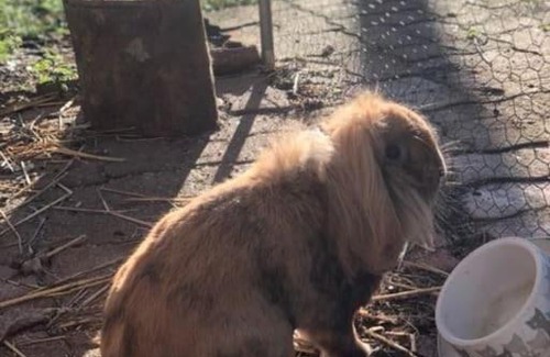 Cast Ski Chalet | chalet 5/6 pers à 15 minutes des plages et baie de Douarnenez