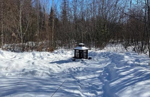 Saint-Alphonse-Rodriguez Ski Chalet | Chalet au pied du lac