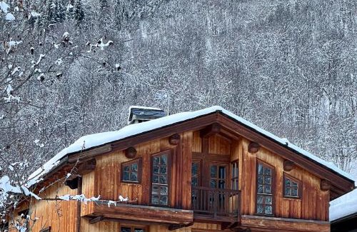 Sainte-Foy-Tarentaise Ski Chalet | Chalet Altus