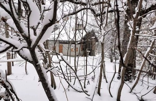 Beaufort Ski Chalet | Chalet - Architect cabin. Six people in the Planay. Quiet, spacious. 2 bedrooms