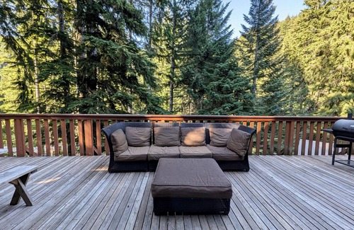 Ashford Cabin | Chalet at Rainier Lodge - 0.4 mi to Mt. Rainer